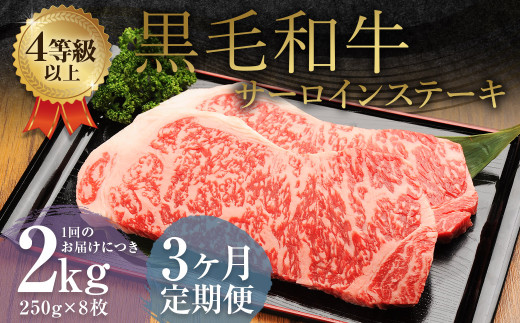 【3ヶ月定期便】 くまもと 黒毛和牛 サーロインステーキ 2.0kg（250g×8枚） 牛肉 牛 肉