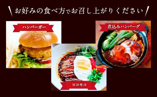 【定期便】肥後の赤牛 ハンバーグ 150g×10個×6ヶ月 合計60個