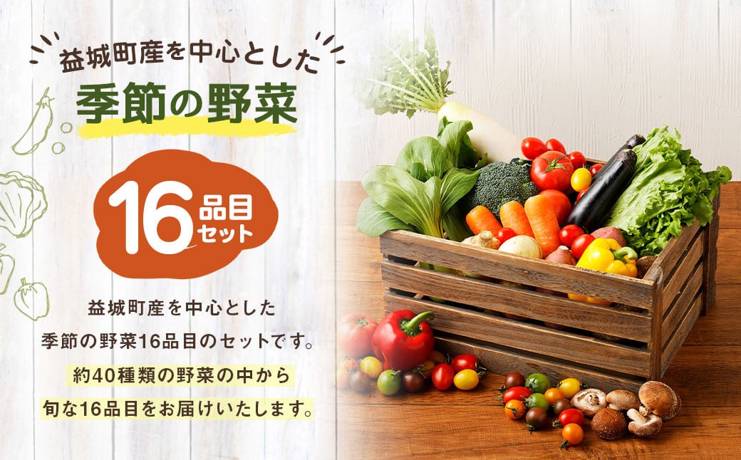 【定期便6回】季節の野菜 16品目 セット 野菜 詰め合わせ おまかせ