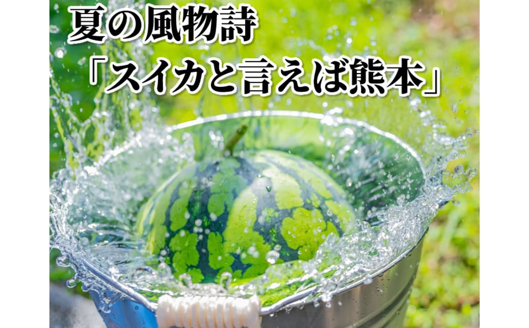 大玉すいか 秀品 1玉 約6kg〜9kg 送料無料 スイカ すいか 益城町産 お取り寄せ お取り寄せグルメ 西瓜 フルーツ 【2025年5月下旬～7月下旬発送予定】