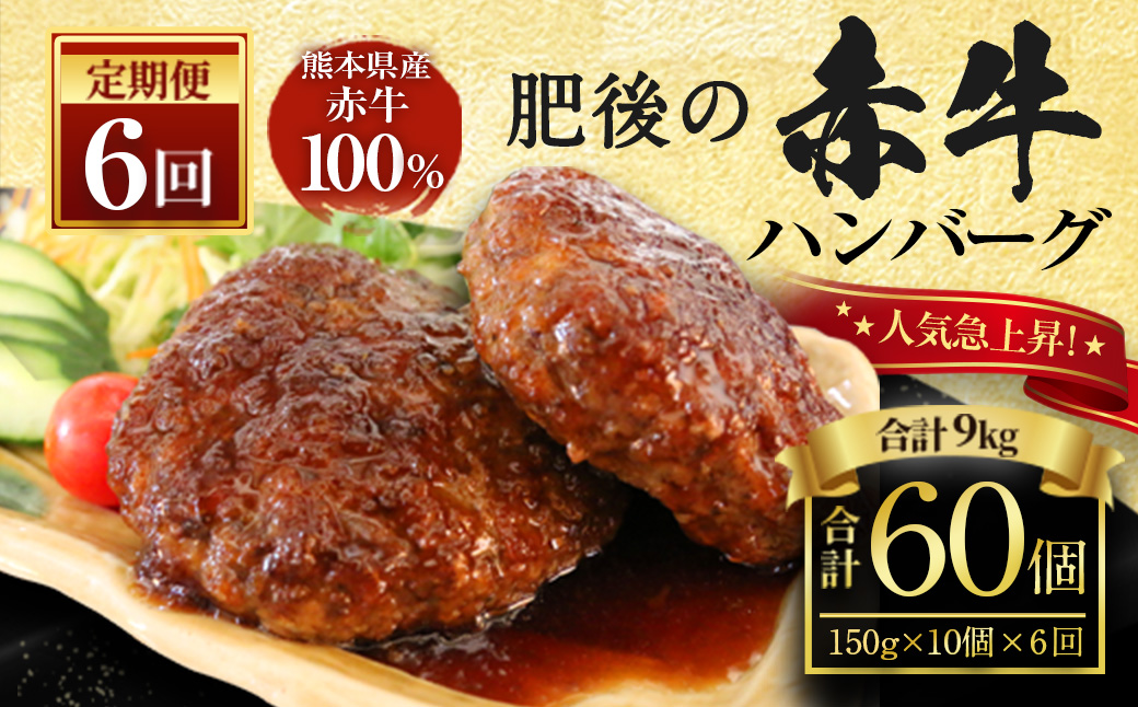 【定期便】肥後の赤牛 ハンバーグ 150g×10個×6ヶ月 合計60個