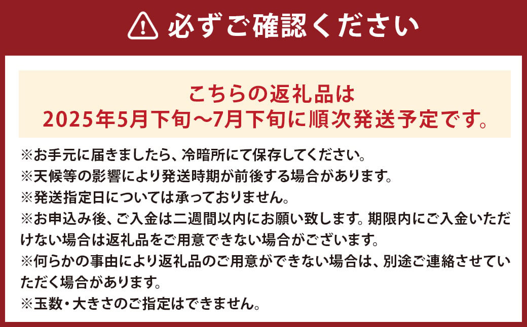 大玉すいか 秀品 1玉 約6kg〜9kg 送料無料 スイカ すいか 益城町産 お取り寄せ お取り寄せグルメ 西瓜 フルーツ 【2025年5月下旬～7月下旬発送予定】