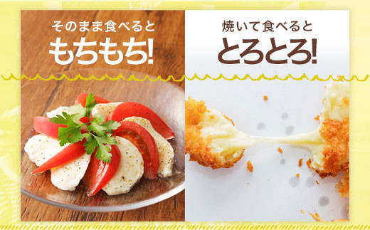 石坂ファーム KUMAMOTO モッツァレラ チーズ 100g×6個