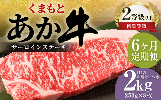 【6ヶ月定期便】くまもとあか牛 サーロイン 2.0kg（250g×8枚） 牛肉 牛 肉