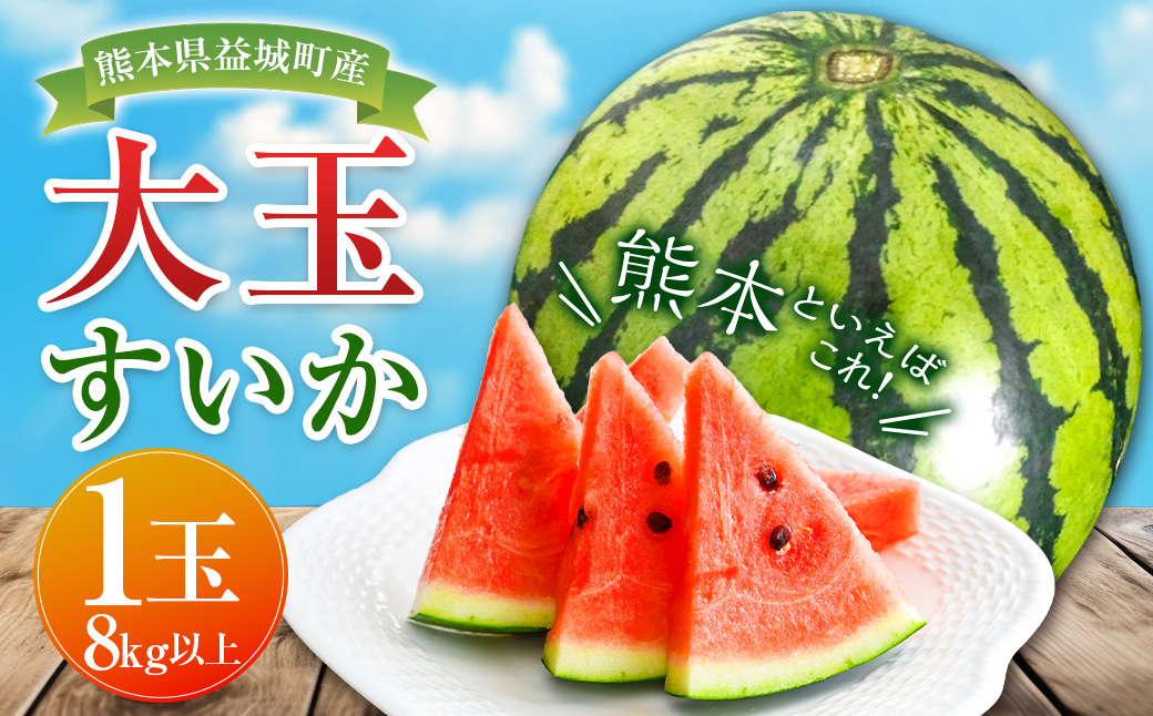 大玉 すいか 1玉 8kg 以上 西瓜 益城産【2026年4月下旬～7月上旬発送予定】