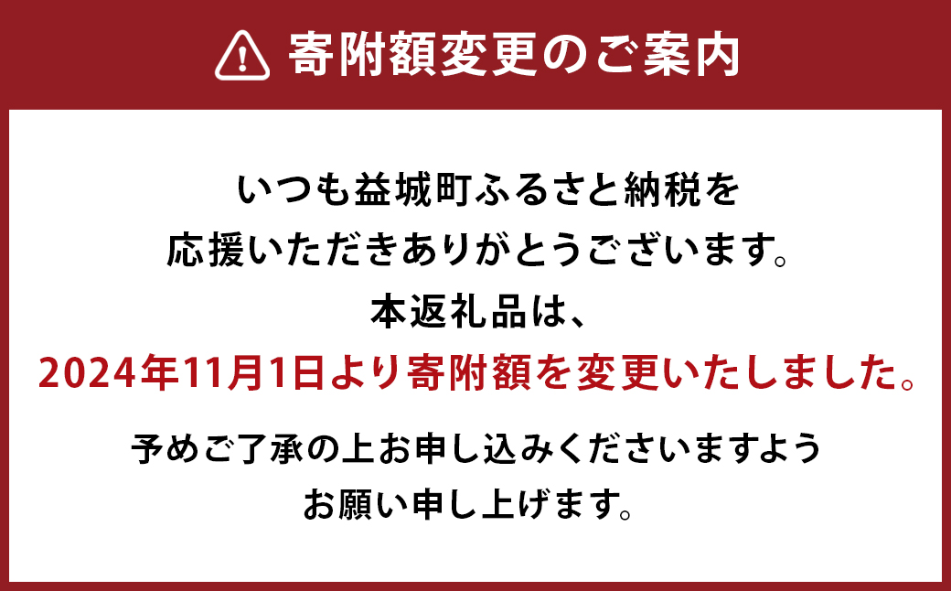 馬スジのカレー 10食 セット 210g×10 計2.1kg カレー
