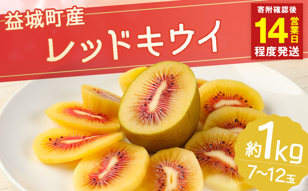 【14営業日以内発送】 益城町産 レッドキウイ 約1kg（7～12玉）【2025年10月下旬～2026年2月上旬順次発送予定】