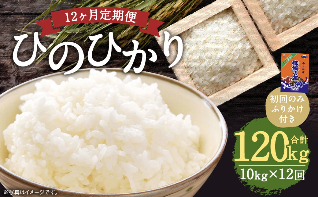 【12回定期便】ひのひかり 10kg (初回 ご飯の友 付き) 計120kg 熊本 米 ふりかけ 御飯の友