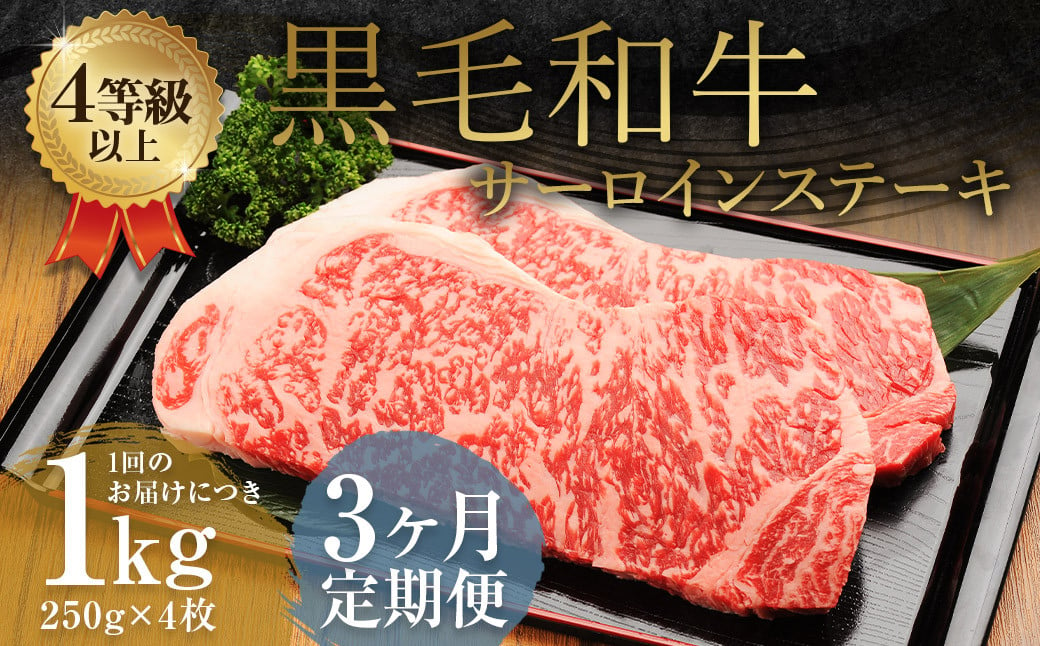 【3ヶ月定期便】くまもと黒毛和牛サーロインステーキ 1.0kg（250g×4枚）牛肉 牛 肉