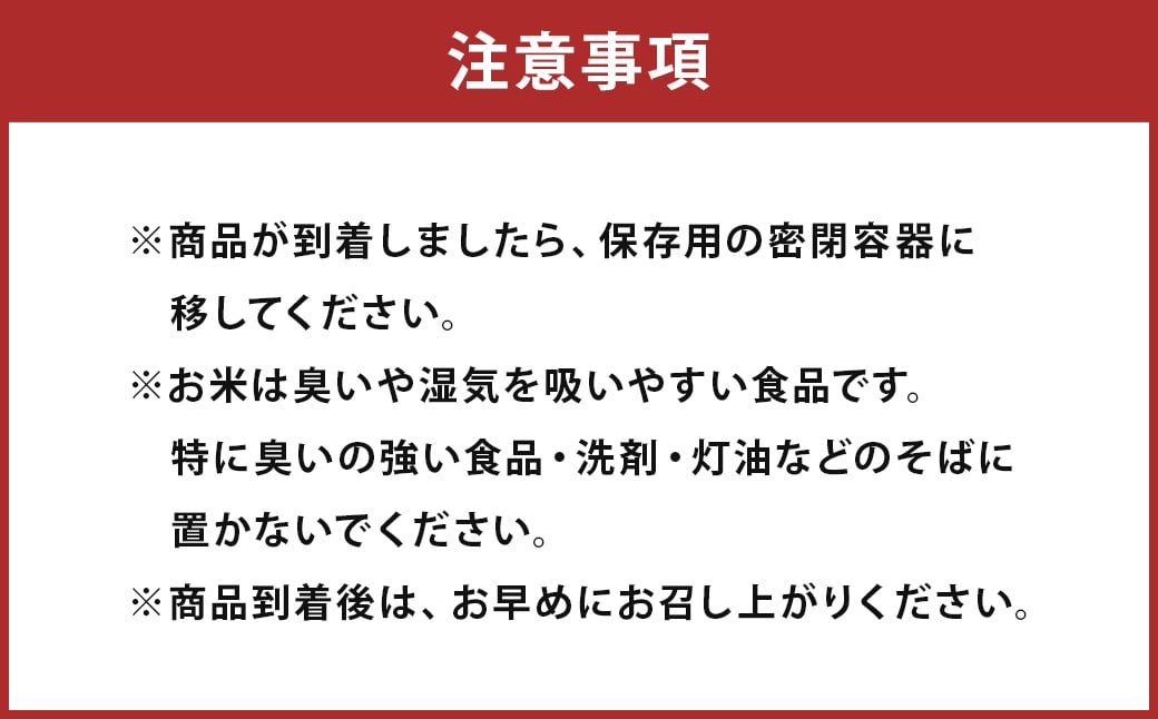 【12回定期便】森のくまさん 10kg (初回 ご飯の友 付き) 計120kg 熊本 米 ふりかけ 御飯の友