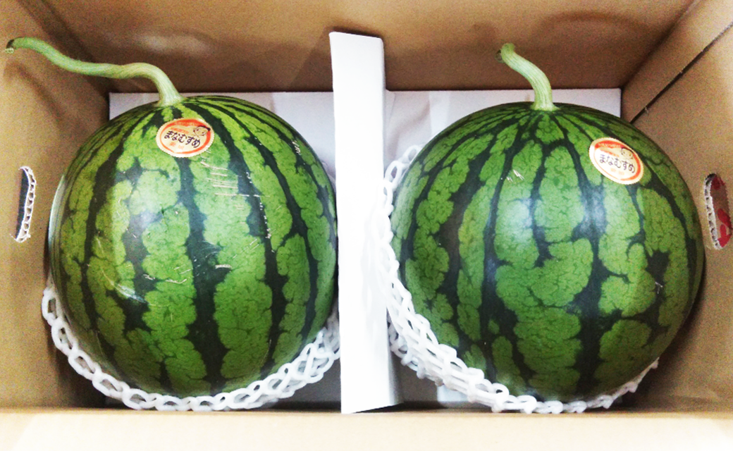 小玉 すいか 2玉 入り 1玉1.5kg 以上 西瓜【2026年5月下旬～6月上旬発送予定】