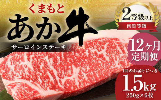 【12ヶ月定期便】 くまもと あか牛 サーロイン 1.5kg（250g×6枚） 牛肉 牛 肉