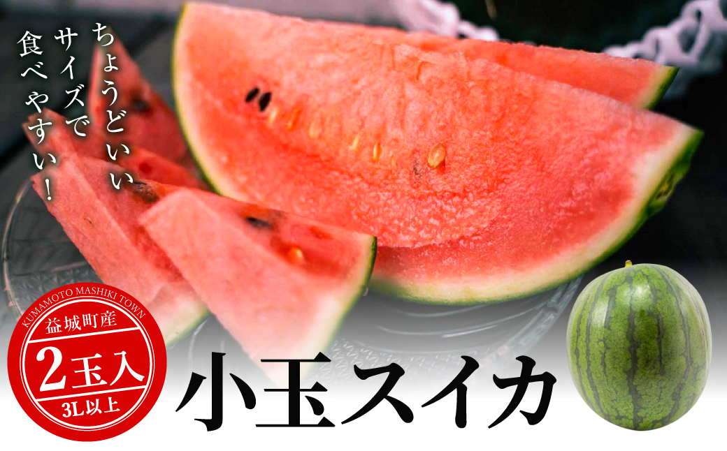 小玉スイカ 3Lサイズ以上 2玉入り 益城町 すいか 果物 フルーツ【2026年5月上旬-2026年7月下旬発送予定】