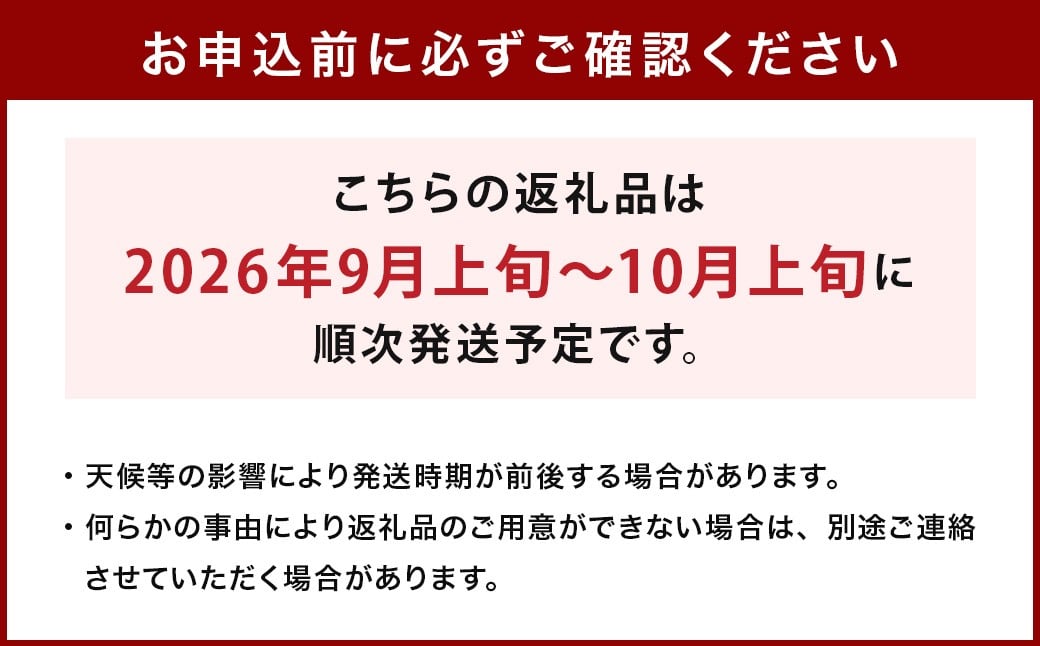 生栗 クリ 大粒 2L以上 約2kg 【2026年9月上旬～10月上旬発送予定】 栗 くり 果物 果実 フルーツ スイーツ おやつ 旬 国産 九州 熊本県 益城町 冷蔵