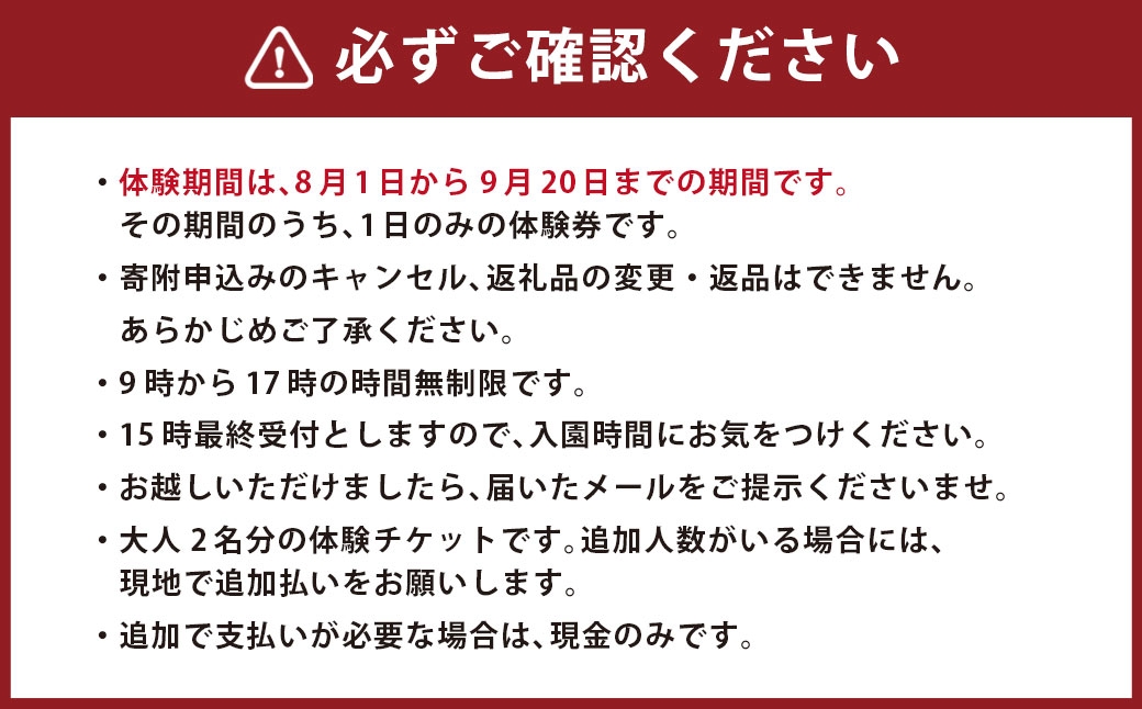 ぶどう狩り体験チケット （ 大人2名様分 ） お土産付き 【2026年8月5日までお申込み可】 【2026年7月下旬～8月下旬ご案内予定】 収穫 試食 自然 家族連れ 観光 体験チケット 体験 経験 チケット ぶどう狩り ぶどう ブドウ 葡萄 時間無制限 無制限