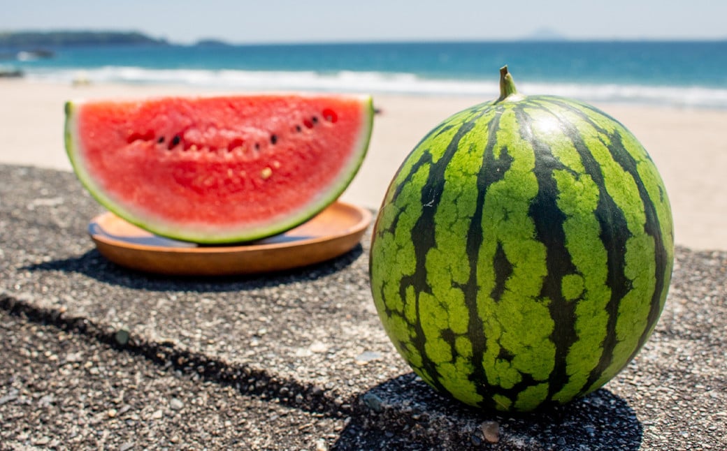 小玉 すいか 2玉入り 3Lサイズ 約3kg【2026年4月下旬～8上旬発送予定】