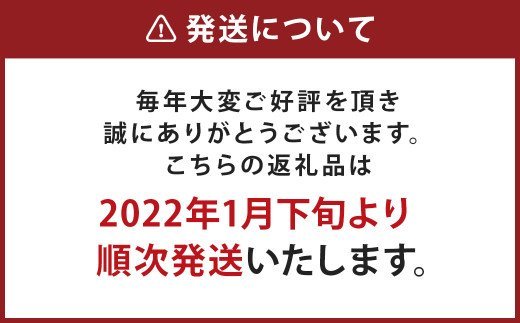 西川 クラシーノ 敷きふとん ベーシックタイプ シングル 100cm×210cm ベージュ