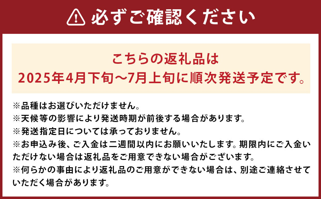 大玉 すいか 1玉 8kg 以上 西瓜 益城産【2025年4月下旬～7月上旬発送予定】