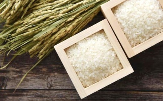 ã什å7幎ç£ã ã²ã®ã²ãã 10kgïŒã飯ã®åä»ãïŒç±³ çœç±³ çæ¬ç çåçºç£ ã2025幎10æäžæ¬ããé æ¬¡çºéäºå®ã