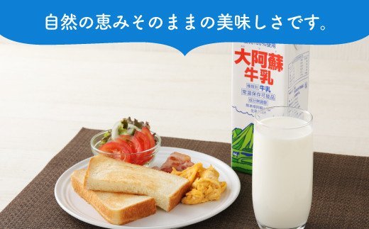 【12ヶ月定期便】大阿蘇牛乳 1L×6本×12ヶ月 合計72L 紙パック