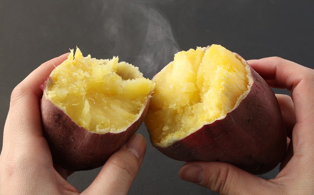 辭頑悽逵檎肇 邏縺ッ繧九° 邏5kg 縺ケ縺ォ縺ッ繧九° 縺輔▽縺セ縺繧 繧オ繝繝槭う繝「 縺輔▽縺セ闃 縺願葛 闃 縲2026蟷エ3譛井ク区流縺セ縺ァ逋コ騾∽コ亥ョ壹