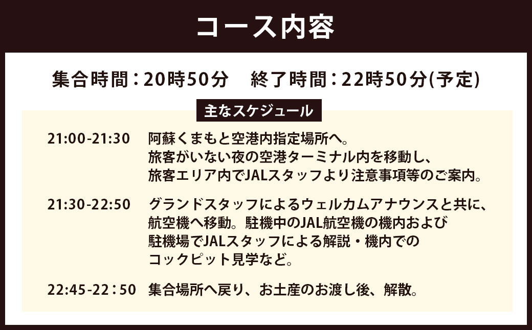 【2025年4月上旬より順次発送】【20名限定】 JAL スタッフがご案内！阿蘇くまもと空港 夜の飛行機 見学会 2025