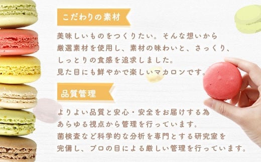 【6ヶ月定期便】一流パティシエが認める ホテル使用品 とろとろ マカロン 6種 セット 24個入（6種類×各4個）×6回お届け 合計144個【冷凍】