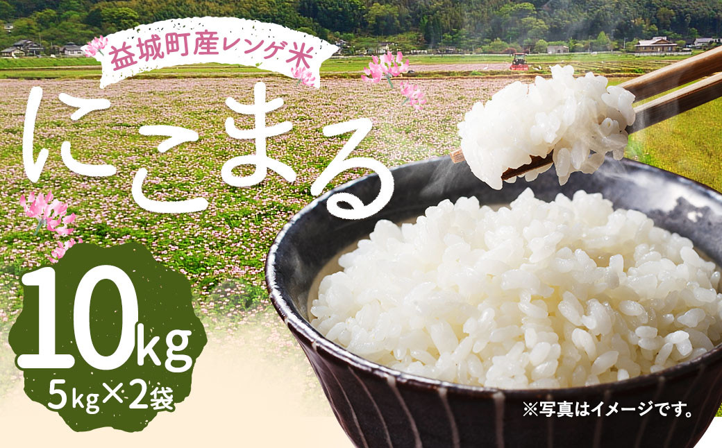 レンゲ米 にこまる 10kg 熊本県 益城町産 米 令和5年産 白米