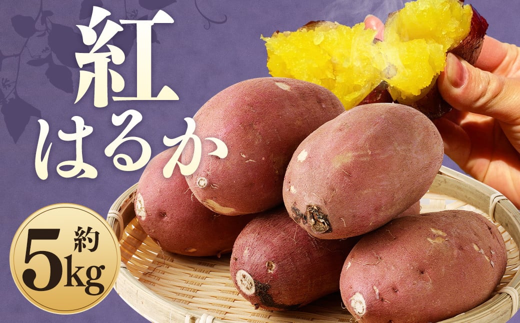 紅はるか 約5kg サツマイモ さつま芋 芋 野菜 いも 熊本県産 【2024年9月下旬-2025年7月上旬発送予定】