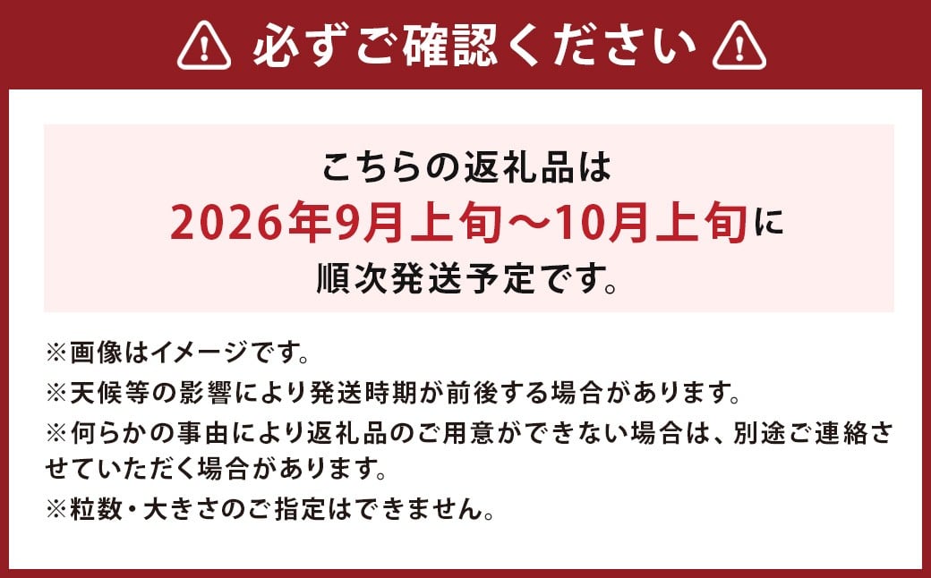 生栗 クリ 大粒 2L以上 約3kg くり マロン【2026年9月上旬～10月上旬発送予定】