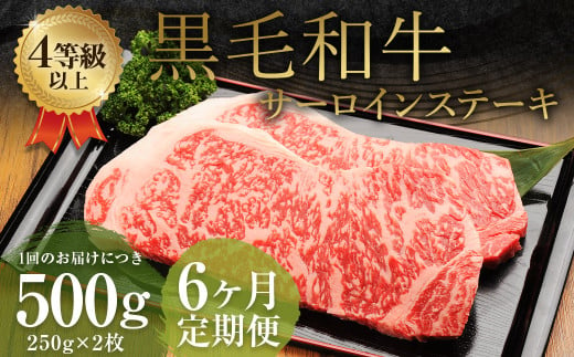 【6ヶ月定期便】くまもと黒毛和牛 サーロインステーキ 500g（250g×2枚） 牛肉 牛 肉