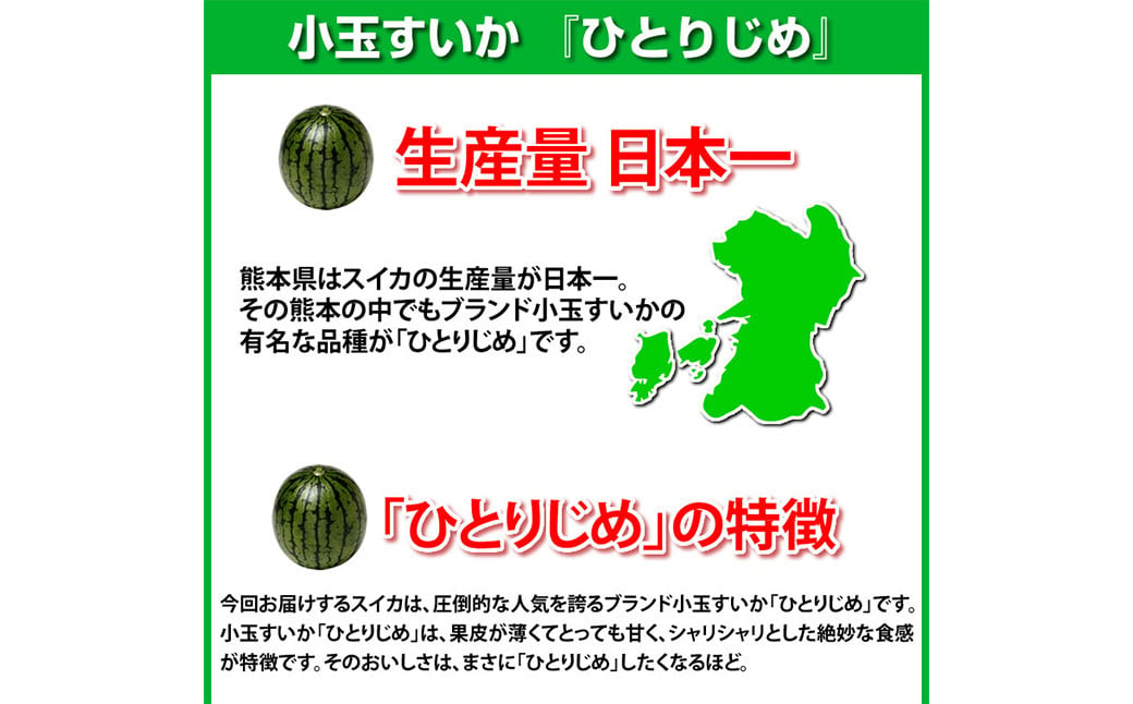 小玉すいか 秀品 2玉 約2～3kg 送料無料 スイカ すいか 益城町産 お取り寄せ お取り寄せグルメ 西瓜 フルーツ 【2025年5月下旬～7月下旬発送予定】