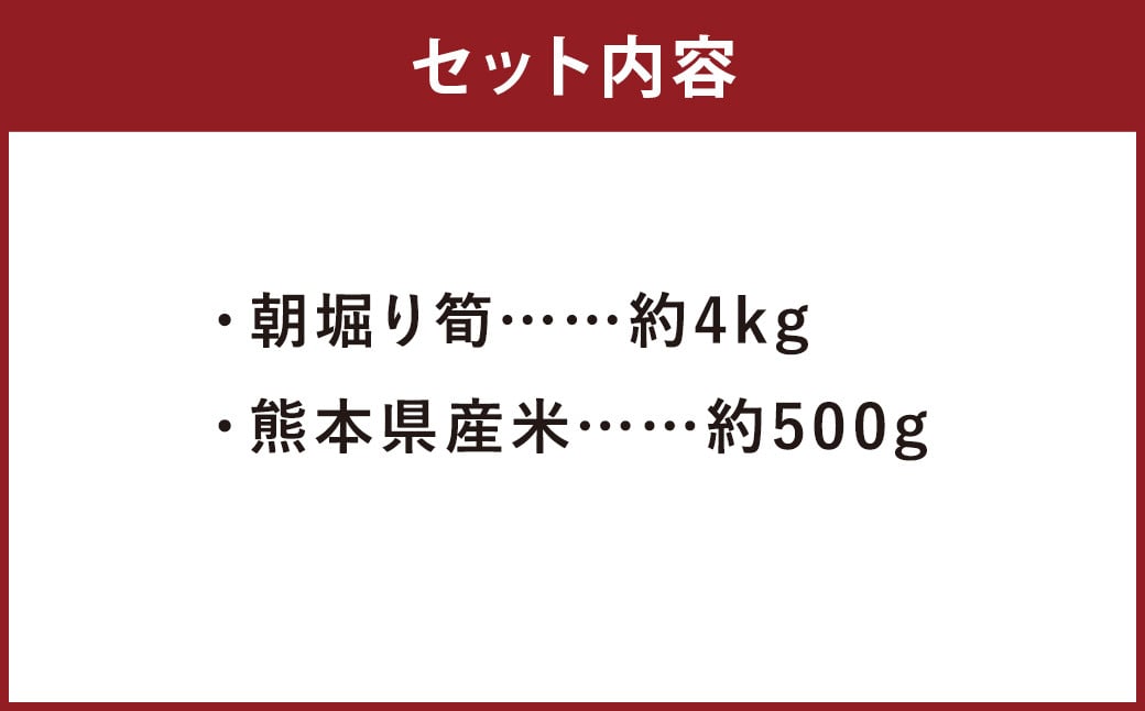【数量限定】朝堀り 筍 4kg 熊本県産米（約500g）付き【2027年3月上旬～4月下旬迄発送予定】