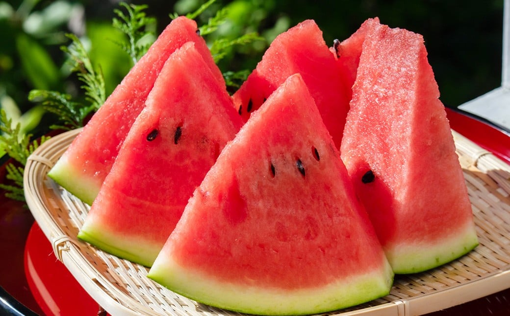 大玉すいか 2玉 3L以上 約16kg 大玉スイカ 大玉西瓜 すいか スイカ 西瓜 果物 くだもの フルー 国産 16kg 【2026年5月上旬～6月下旬発送予定】