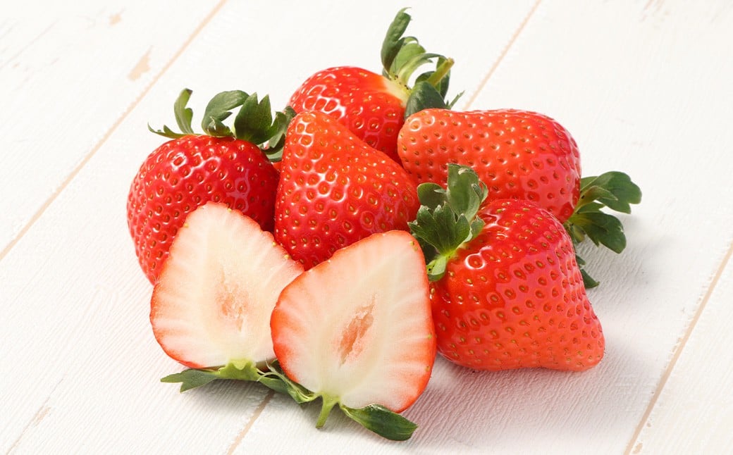 益城産 いちご 500g×1パック 贈答箱入り 【2026年1月上旬より順次発送】