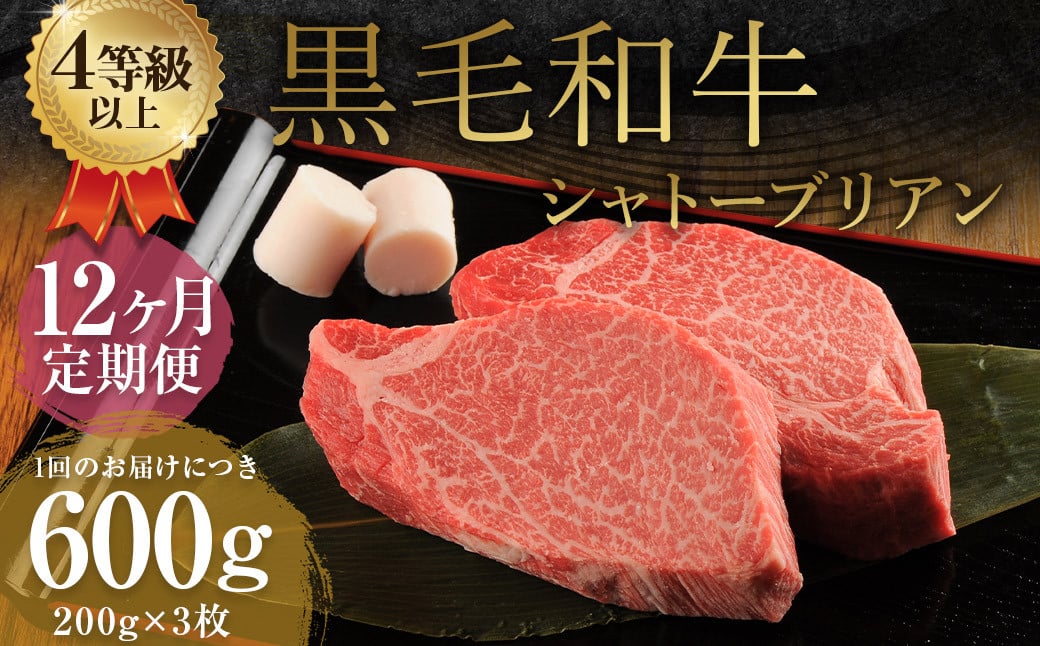 【12ヶ月定期便】くまもと黒毛和牛シャトーブリアン 600g（200g×3枚）牛肉 牛 肉