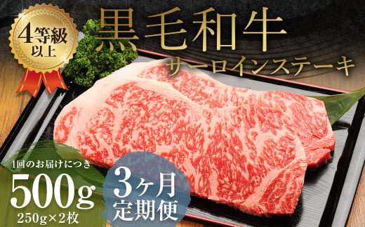 【3ヶ月定期便】くまもと黒毛和牛 サーロインステーキ 500g（250g×2枚） 牛肉 牛 肉