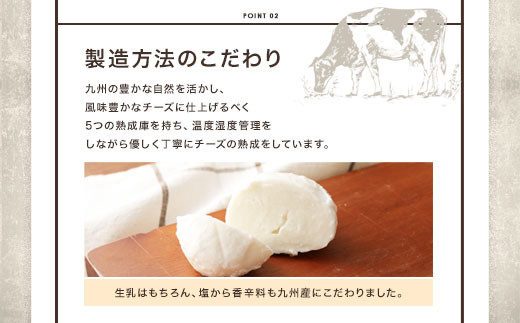 石坂ファーム KUMAMOTO モッツァレラ チーズ 100g×6個