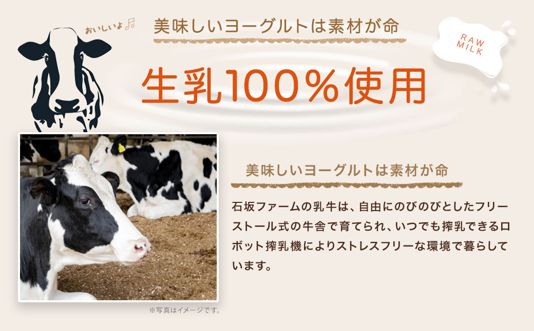 石坂ファームの100%ヨーグルト（きび砂糖）1kg 生乳100% 無添加 加糖ヨーグルト スイーツ デザート 乳製品 冷蔵 送料無料