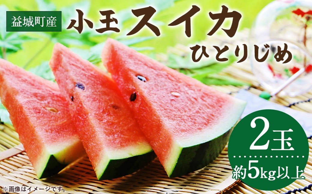益城町産 スイカ 小玉 （ひとりじめ） 2玉（約5kg以上） 【2026年5月下旬～6月上旬発送予定】