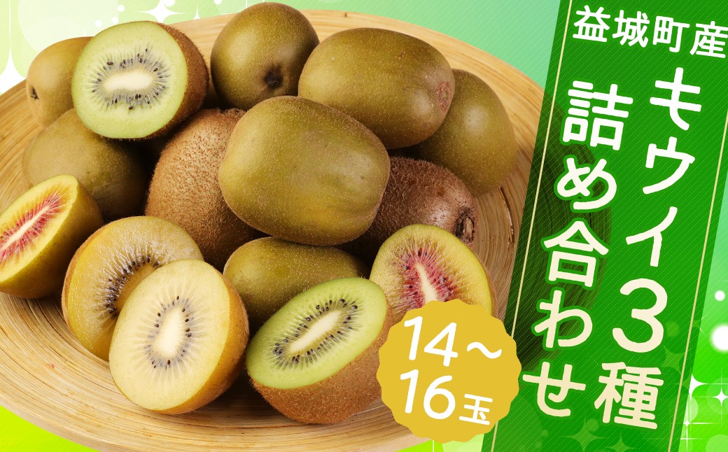 益城町産 特選 キウイ 3種 詰め合わせ 約1.8kg 14～16玉 （各種4玉～6玉） 【2026年11月下旬～2027年1月下旬順次発送予定】