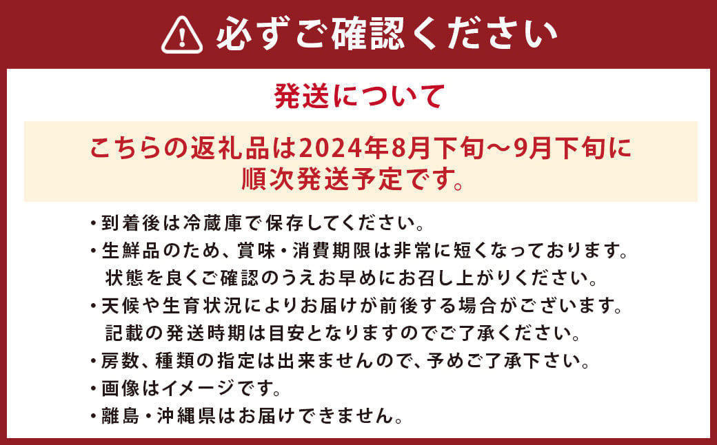 ぶどう 3種 詰め合わせ 合計約2kg 5～6房 巨峰 イタリア 安芸クイーン 【2024年8月下旬から9月下旬順次発送予定】