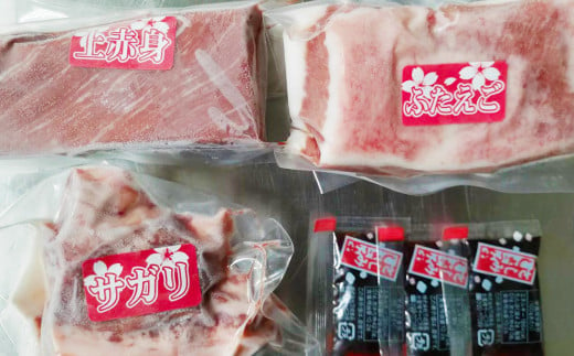 【定期便2回】 3種の馬刺し 約300g 合計約600g 【赤身・フタエゴ・サガリ】 馬刺し 馬刺 ばさし 馬 馬肉 赤身 フタエゴ サガリ 3種盛り 食べ比べ