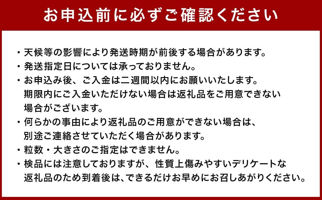 大玉すいか 2玉 3L以上 約16kg 大玉スイカ 大玉西瓜 すいか スイカ 西瓜 果物 くだもの フルー 国産 16kg 【2026年5月上旬～6月下旬発送予定】