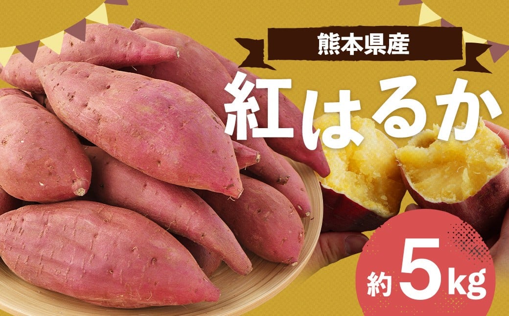 熊本県産 紅はるか 約5kg べにはるか さつまいも サツマイモ さつま芋 お芋 芋 【2026年3月下旬まで発送予定】