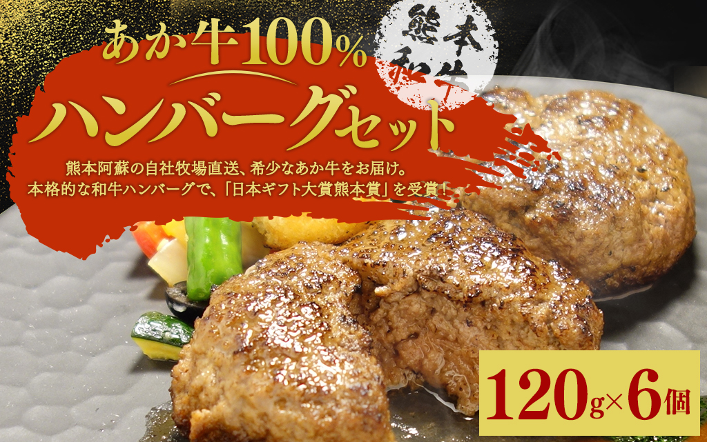 あか牛 100％ ハンバーグ セット 約120g×6個