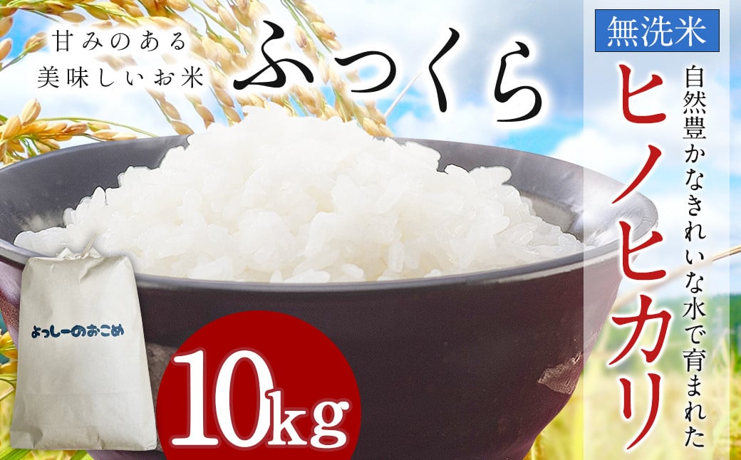 令和6年度産 熊本 益城町 無洗米 ヒノヒカリ 10kg お米