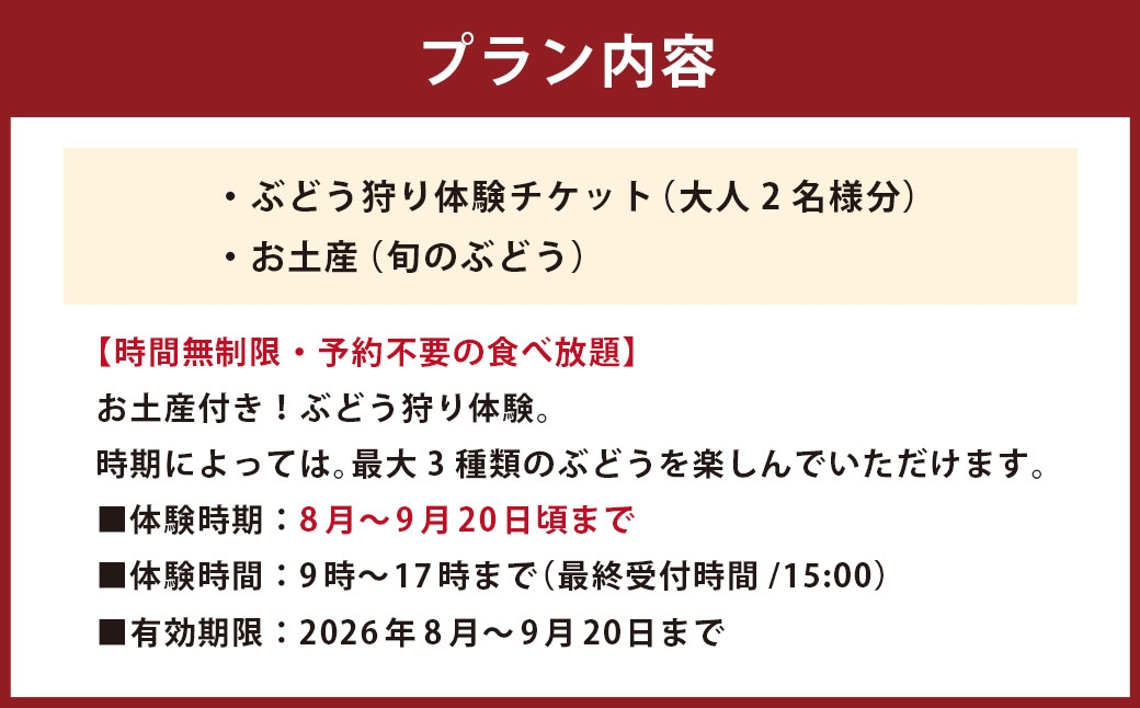 ぶどう狩り体験チケット （ 大人2名様分 ） お土産付き 【2026年8月5日までお申込み可】 【2026年7月下旬～8月下旬ご案内予定】 収穫 試食 自然 家族連れ 観光 体験チケット 体験 経験 チケット ぶどう狩り ぶどう ブドウ 葡萄 時間無制限 無制限