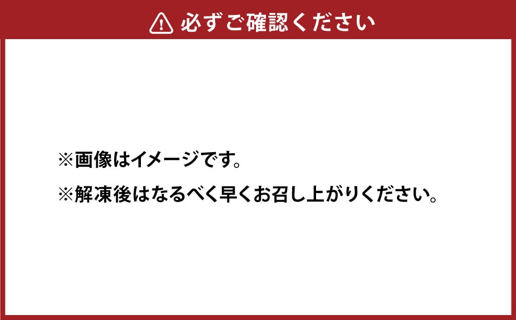 C39Z6【定期便6回】 馬肉ハンバーグ 約150g×10個 合計約9kg 馬肉100% ハンバーグ 熊本 冷凍 馬肉 馬 肉 惣菜 おかず