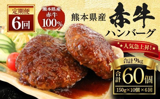【定期便】熊本県産赤牛 ハンバーグ 150g×10個×6ヶ月 合計60個